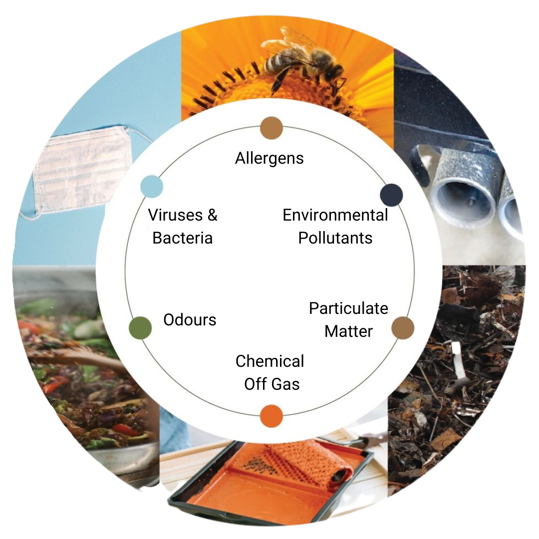 Our Tech and Science ecologicca